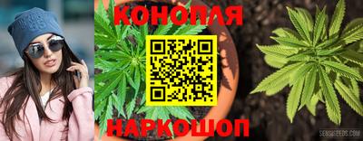 крисы Можайск
