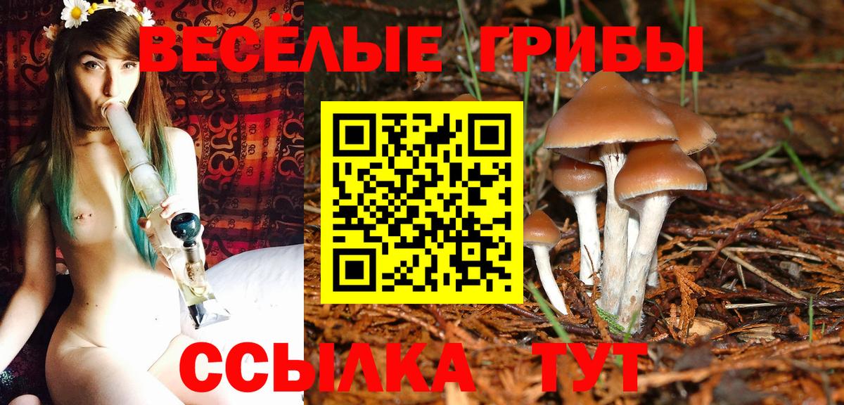 Галлюциногенные грибы ЛСД Усолье-Сибирское